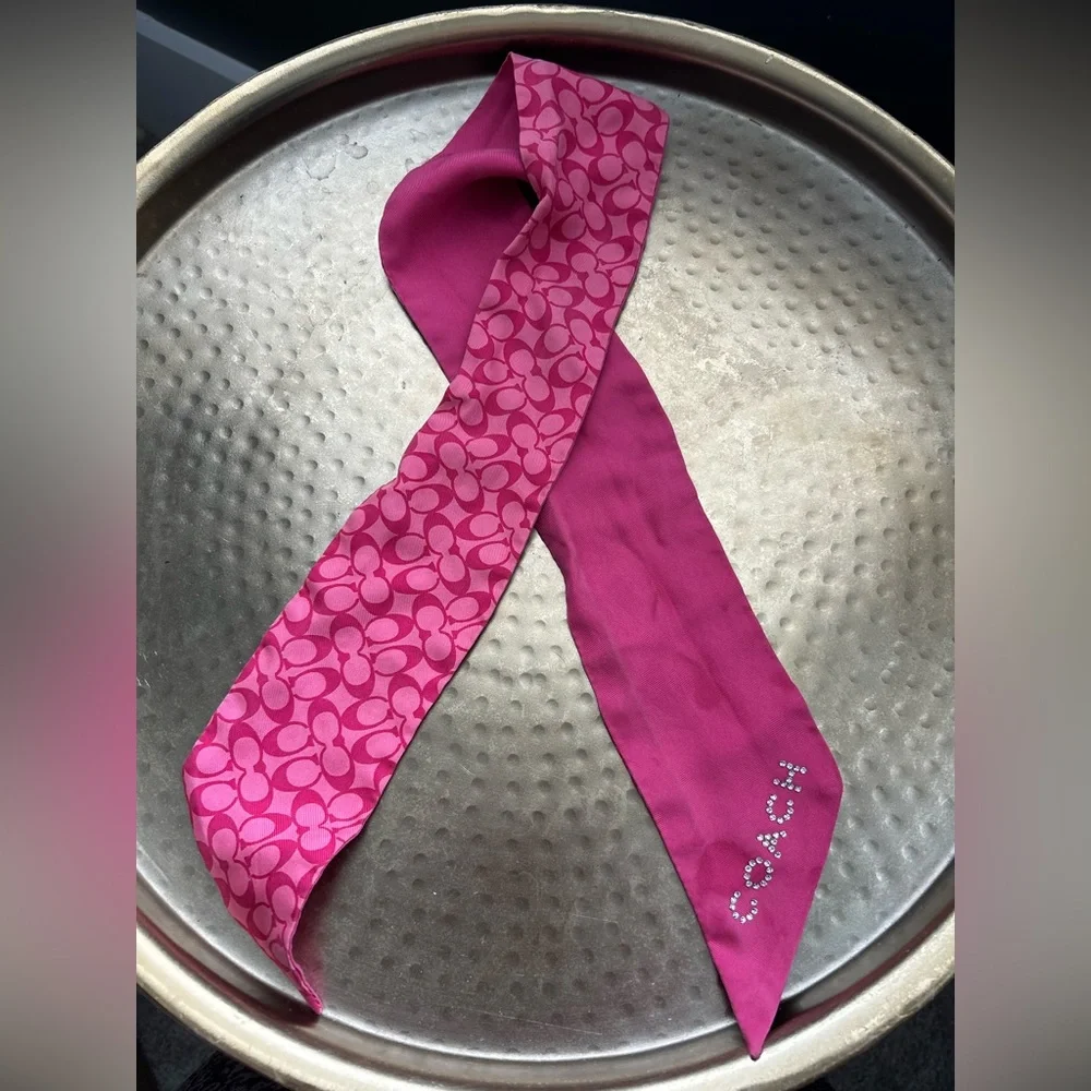 HTF Y2K Coach Bundle | 3 Silk Scarves | Signature C Stripe Skinny Ponytail Scarf - Picture 3 of 9